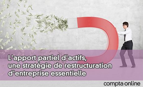 L'apport partiel d'actifs, une stratgie de restructuration d'entreprise essentielle