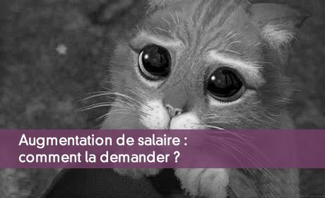 Demander Une Augmentation De Salaire : Comment S'y Prendre