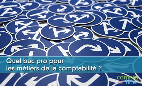 Du Bac Pro Comptabilite Au Bac Pro Gestion Des Organisations