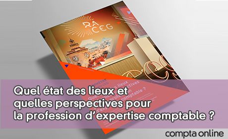 Quel tat des lieux et quelles perspectives pour la profession d'expertise comptable ?