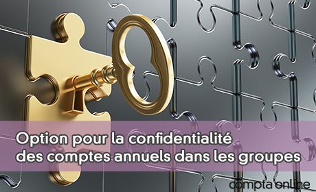 Option pour la confidentialit des comptes annuels dans les groupes