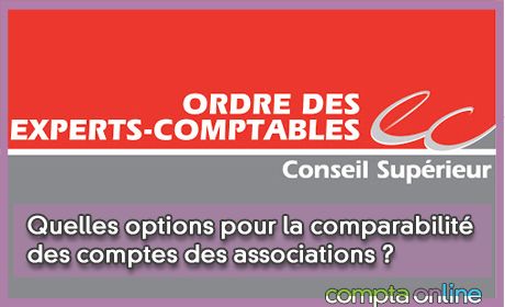 Quelles options pour la comparabilit des comptes des associations ?