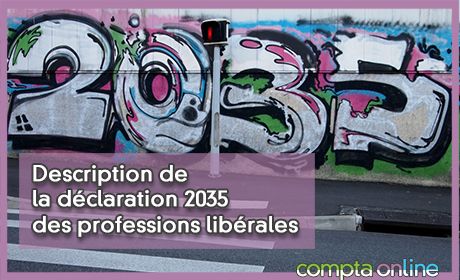Description de la dclaration 2035 des professions librales
