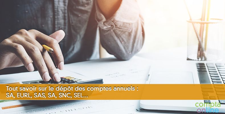 Le Depot Des Comptes Annuels Des Societes