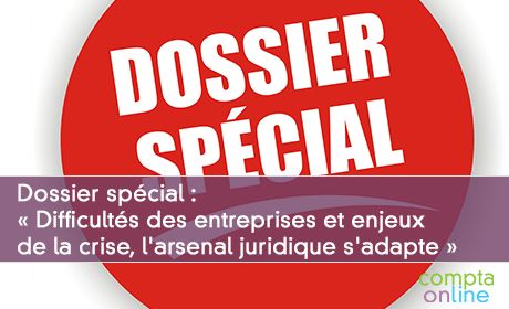 Dossier spcial : Difficults des entreprises et enjeux de la crise, l'arsenal juridique s'adapte 