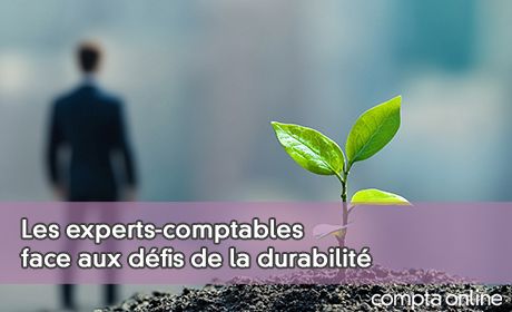 Les experts-comptables face aux dfis de la durabilit