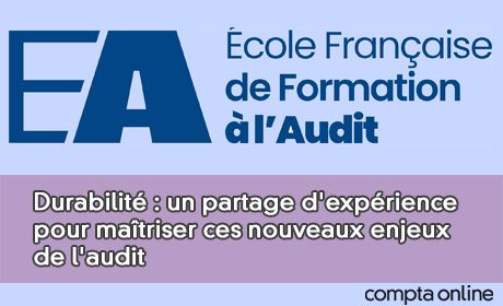 Durabilit : un partage d'exprience pour matriser ces nouveaux enjeux de l'audit