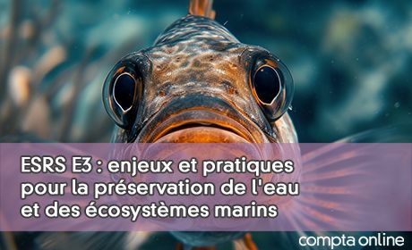 ESRS E3 : enjeux et pratiques pour la prservation de l'eau et des cosystmes marins