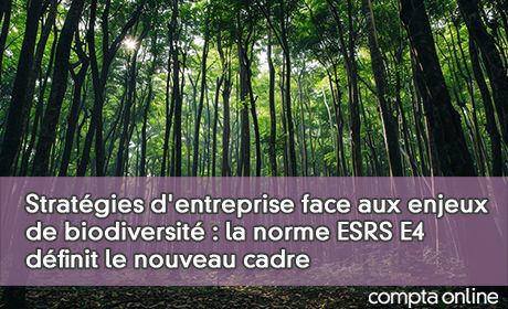 Stratgies d'entreprise face aux enjeux de biodiversit : la norme ESRS E4 dfinit le nouveau cadre