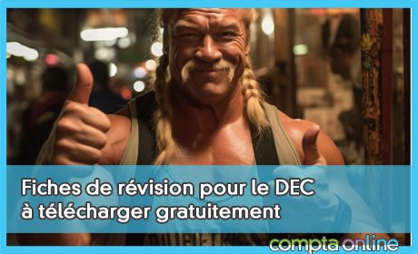 Fiches de rvision pour le DEC tlcharger gratuitement