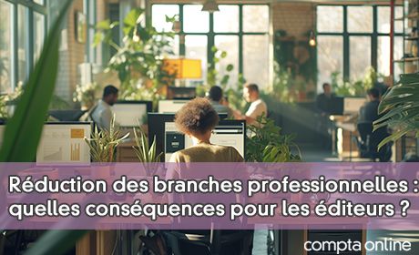 Rduction des branches professionnelles : quelles consquences pour les diteurs ?