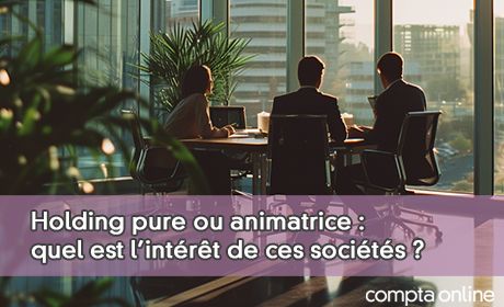 Comprendre la distinction entre holding pure et animatrice