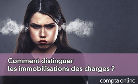 Comment distinguer les immobilisations des charges ?