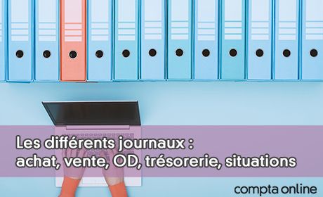 Les diffrents journaux : achat, vente, OD, trsorerie, situations