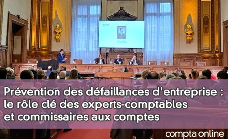 Prvention des dfaillances d'entreprise : le rle cl des experts-comptables et commissaires aux comptes