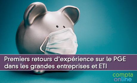 Premiers retours d'exprience sur le PGE dans les grandes entreprises et ETI