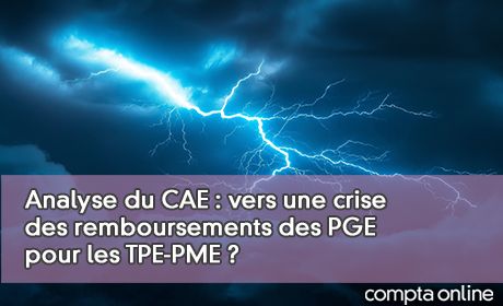 Analyse du CAE : vers une crise des remboursements des PGE pour les TPE-PME ?