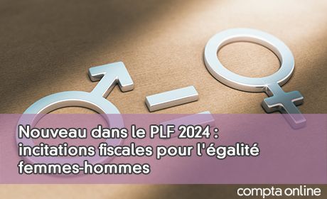 Nouveau dans le PLF 2024 : incitations fiscales pour l'galit femmes-hommes