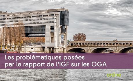 Les problmatiques poses par le rapport de l'IGF sur les OGA