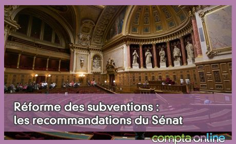 Rforme des subventions : les recommandations du Snat